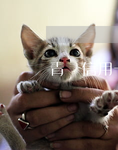 青島信用卡逾期半年