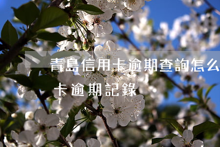 青島信用卡逾期查詢怎么查(怎么看自己信用卡逾期記錄)