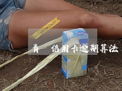 青島信用卡逾期算法
