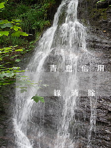 青島信用卡逾期記錄消除(青島信用卡逾期記錄消除)