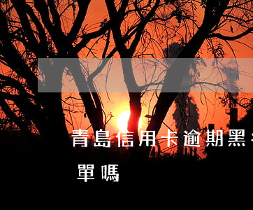 青島信用卡逾期黑名單(信用卡逾期就是黑名單嗎)