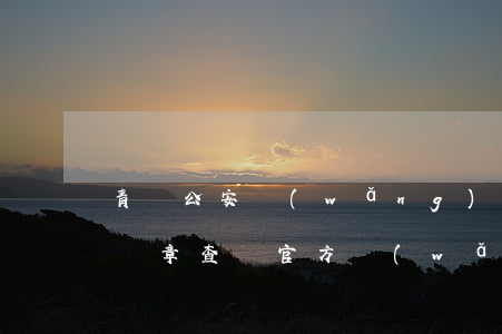 青島公安網(wǎng)違章查詢(山東青島違章查詢官方網(wǎng)站)