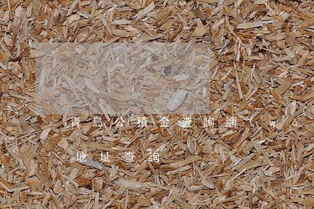 青島公積金查詢網(wǎng)(青島公積金地址查詢)