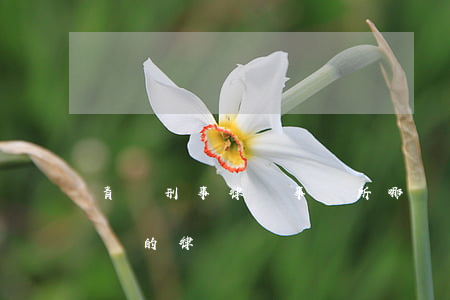 青島刑事律師事務所哪個第一名(青島最有名氣的律師)