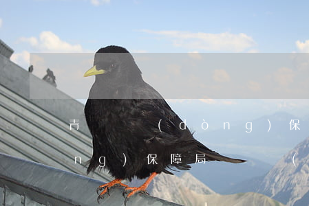 青島勞動(dòng)保障(青島勞動(dòng)保障局電話號(hào)碼)