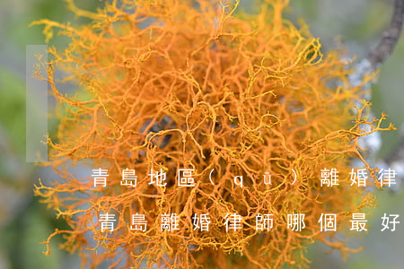 青島地區(qū)離婚律師事務(wù)所(青島離婚律師哪個最好)