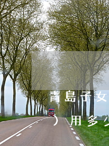 青島子女撫養(yǎng)律師費(fèi)用多少(孩子撫養(yǎng)費(fèi)問題請律師需要多少錢)