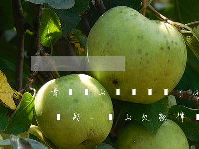 青島嶗山專辦債權(quán)債務律師哪個好-嶗山欠款律師