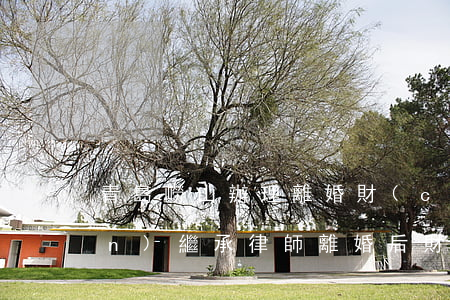 青島嶗山辦理離婚財(cái)產(chǎn)繼承律師(離婚后 財(cái)產(chǎn)糾紛律師)