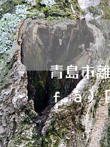 青島市離婚協(xié)議律師(青島開發(fā)區(qū)離婚律師)