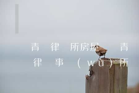 青島律師所房屋糾紛(青島市市南區(qū)律師事務(wù)所)