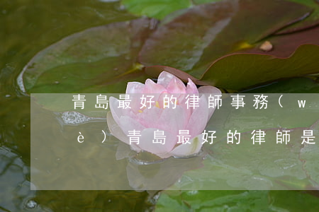 青島最好的律師事務(wù)所是哪個(gè)(青島最好的律師是誰(shuí))