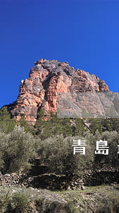 青島最好的律師(青島最好的律師排名)