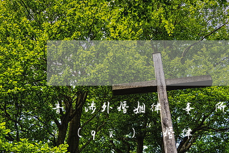 青島涉外婚姻律師事務所(青島開發(fā)區(qū)離婚律師)