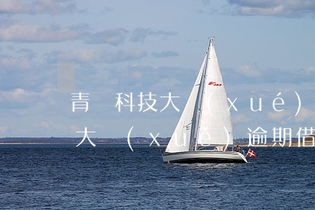 青島科技大學(xué)逾期借書(青島科技大學(xué)逾期借書)