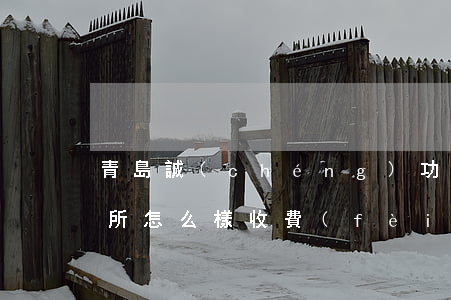 青島誠(chéng)功律師事務(wù)所怎么樣收費(fèi)(青島誠(chéng)功律師所律師介紹)