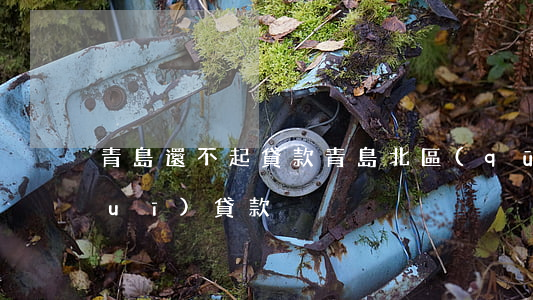 青島還不起貸款(青島北區(qū)正規(guī)貸款)