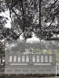 青島重婚案律師(青島重婚案律師)