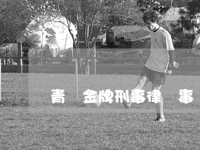 青島金牌刑事律師事務(wù)所
