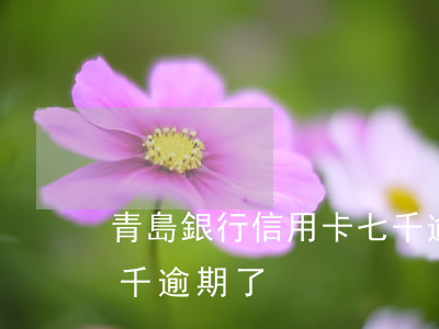 青島銀行信用卡七千逾期(青島銀行信用卡七千逾期了)