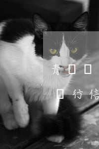 青島銀行信用卡申請個性化分期(為什么青島銀行信用卡不可以分期)