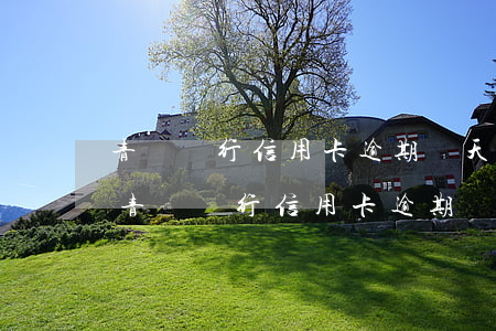 青島銀行信用卡逾期兩天會有不良記錄嗎-青島銀行信用卡逾期兩天會有不良記錄嗎