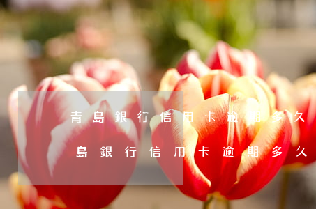 青島銀行信用卡逾期多久上報(bào) 青島銀行信用卡逾期多久上報(bào)征信報(bào)告