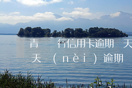 青島銀行信用卡逾期幾天會上門(信用卡90天內(nèi)逾期)