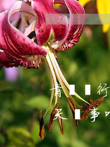 青島銀行信用卡逾期查詢(青島信用卡逾期6天沒事吧)