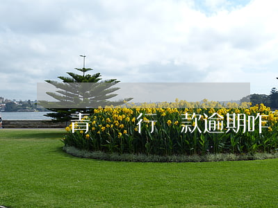青島銀行貸款逾期咋辦(青島銀行房貸利率)
