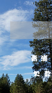 青浦債務(wù)律師事務(wù)所(青浦欠款律師)