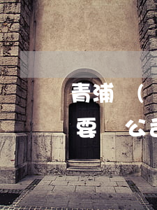 青浦區(qū)債務(wù)官司律師(青浦要債公司)