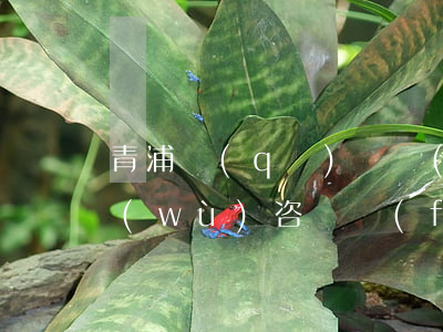 青浦區(qū)債務(wù)律師法律服務(wù)咨詢費(fèi)用-青浦區(qū)債務(wù)律師法律服務(wù)咨詢費(fèi)用多少