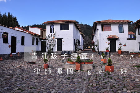 青浦孩子撫養(yǎng)權(quán)律師哪個(gè)好