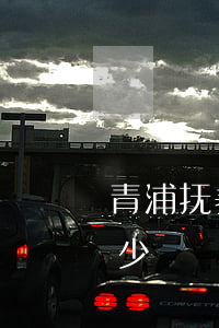 青浦抚养权律师价格(抚养权官司律师费要多少)