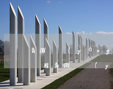 青浦撫養(yǎng)權(quán)律師費用(青浦撫養(yǎng)權(quán)律師費用)