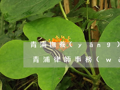 青浦撫養(yǎng)權(quán)律師(青浦律師事務(wù)所)