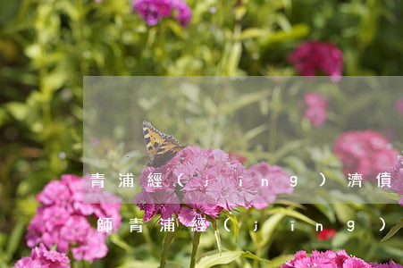 青浦經(jīng)濟債務(wù)糾紛律師(青浦經(jīng)濟債務(wù)糾紛律師電話號碼)