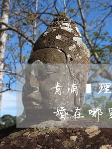 青浦辦理離婚在哪里(楊浦區(qū)辦理離婚在哪里)