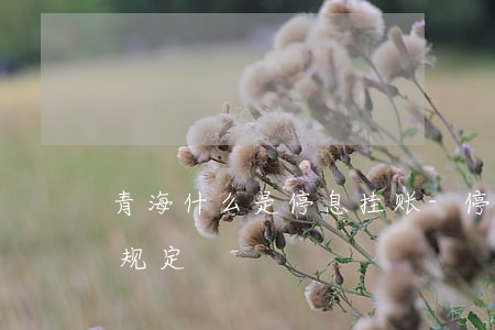 青海什么是停息挂账-停息挂账2021新规定