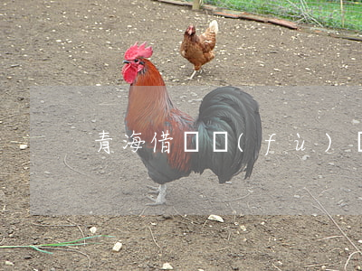 青海借唄負(fù)債逾期影響大嗎