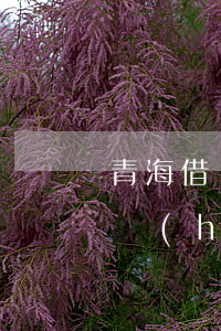 青海借唄負(fù)債逾期怎么辦(借唄逾期會(huì)被上訴)