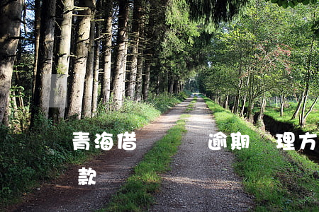 青海借唄負債逾期處理方法(借唄欠款逾期還款)