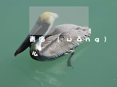 青海網(wǎng)貸負(fù)債逾期怎么辦