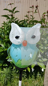 青海金略律師事務(wù)所(青海律科律師事務(wù)所)