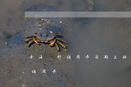 青海銀行信用卡逾期上征信(青海銀行怎么還信用卡)