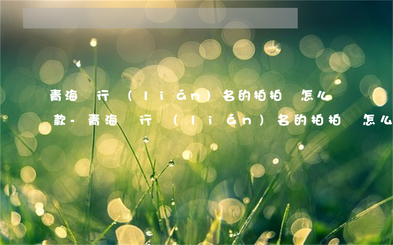 青海銀行聯(lián)名的拍拍貸怎么還款-青海銀行聯(lián)名的拍拍貸怎么還款啊