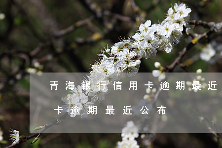 青海银行信用卡逾期最近公布（青海银行信用卡逾期最近公布）