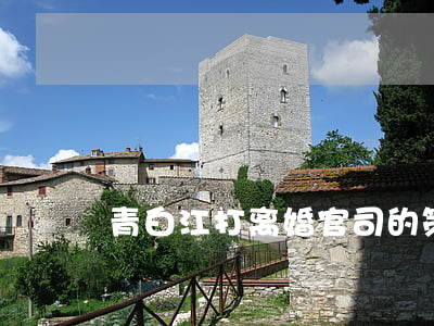 青白江打离婚官司的策略程序
