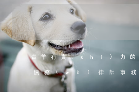 青羊有實(shí)力的債權(quán)債務(wù)律師事務(wù)所-青羊區(qū)律師事務(wù)所排名